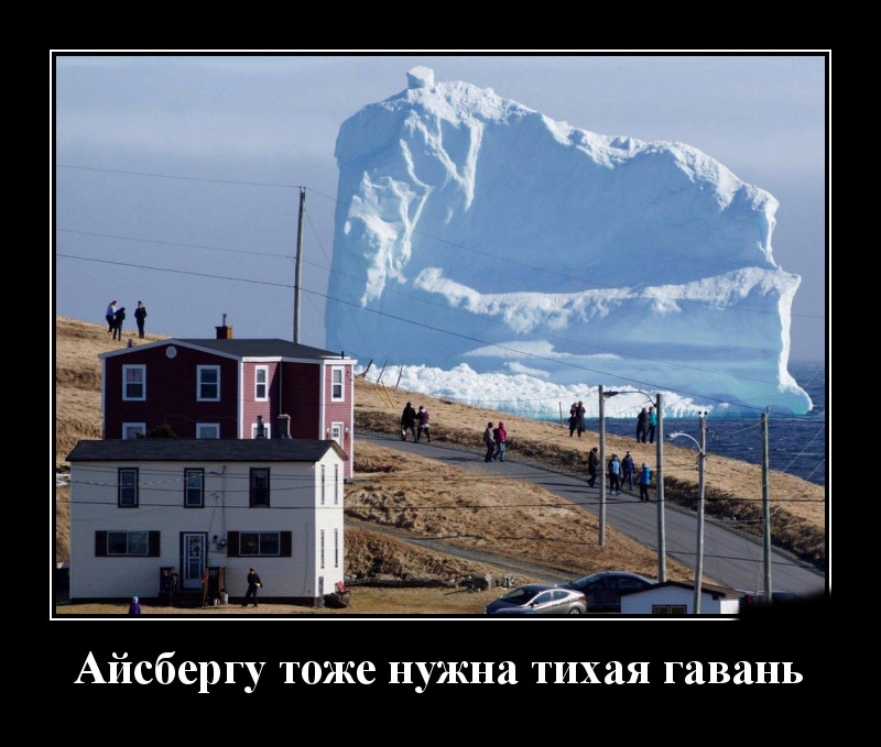 Podborka luchshikh demotivatorov 516 032